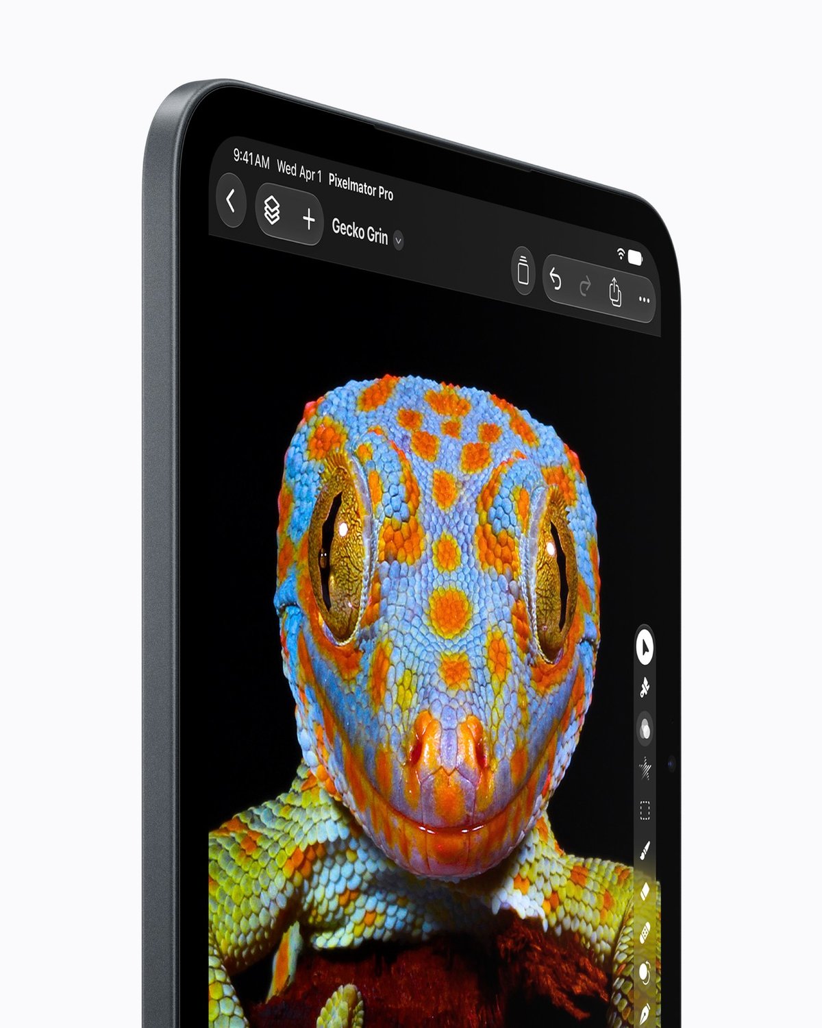 Yeni iPad mini OLED ekranında görünen kertenkele fotoğrafı