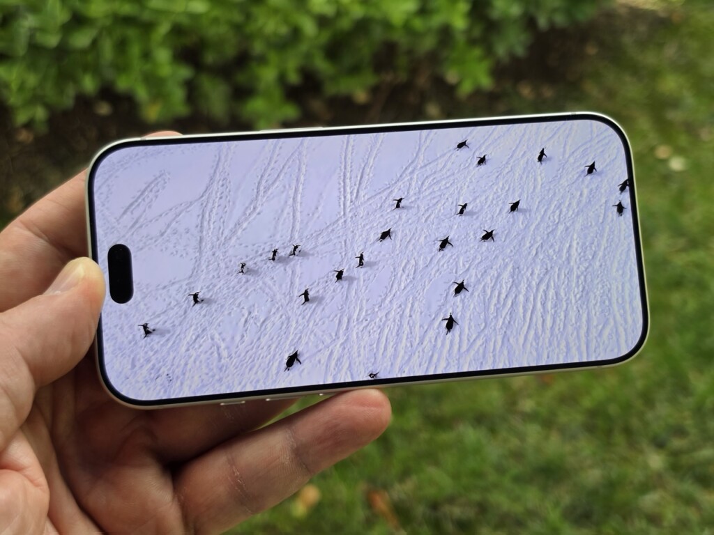 Kamerada daha fazla söz sahibi olun! iPhone 18 Pro İncelemesi